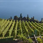 Domaine Du Burignon Pensionat