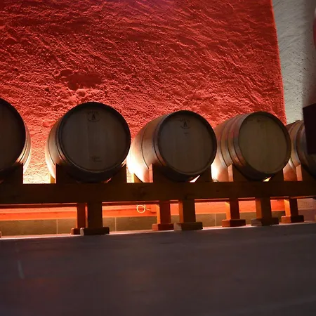 Domaine Du Burignon Gasthuis