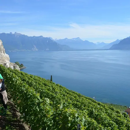 Domaine Du Burignon Saint-Saphorin