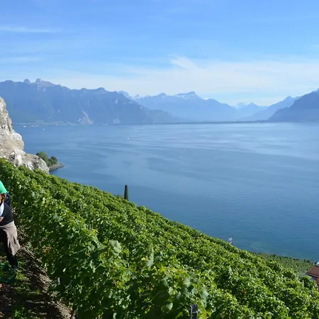 Domaine Du Burignon Saint-Saphorin