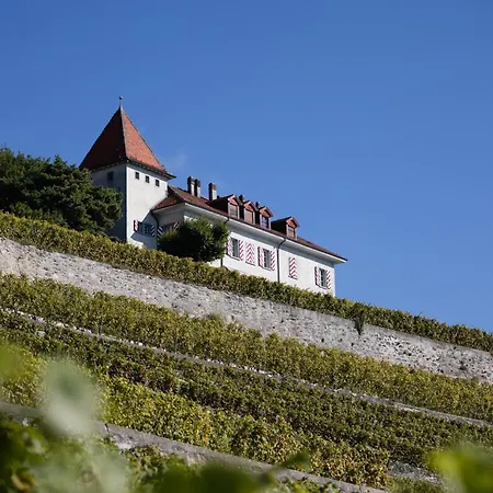 Domaine Du Burignon 3*