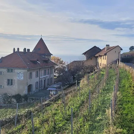 Domaine Du Burignon Saint-Saphorin