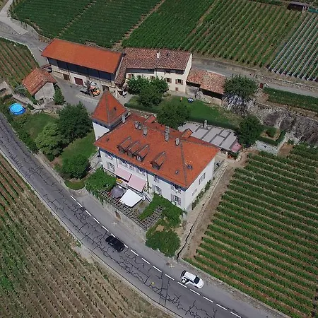 Penzion Domaine Du Burignon Saint-Saphorin