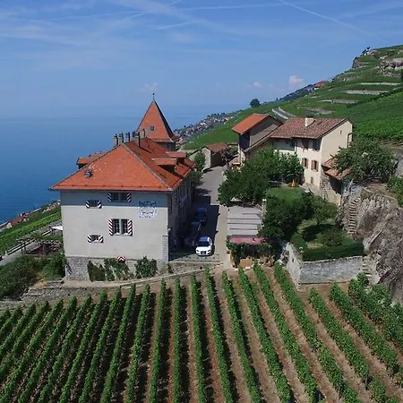 Domaine Du Burignon Saint-Saphorin