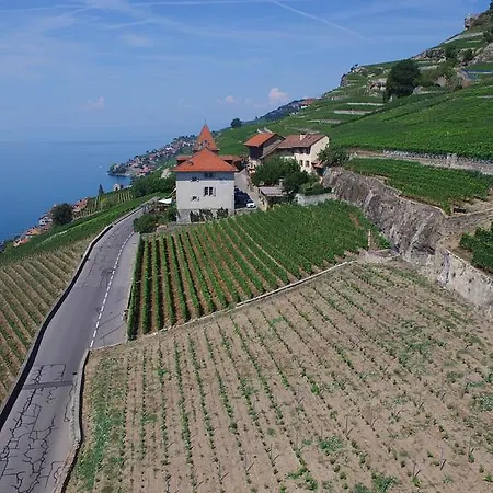 Domaine Du Burignon 3* Saint-Saphorin