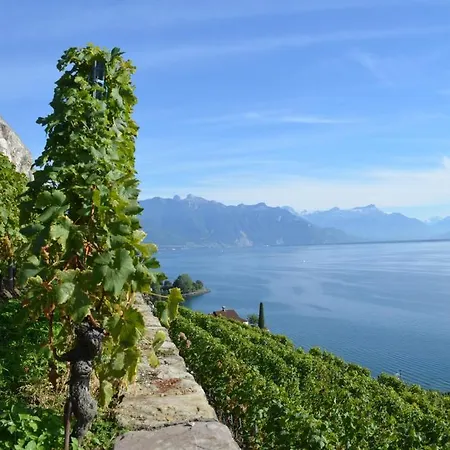 Penzion Domaine Du Burignon Saint-Saphorin