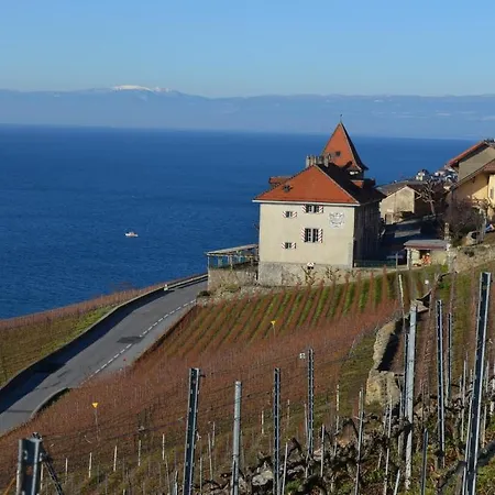 Domaine Du Burignon 3* Saint-Saphorin