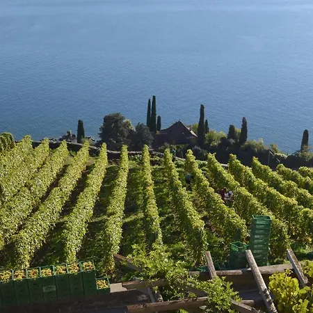 Domaine Du Burignon Pensión
