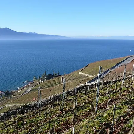 Domaine Du Burignon 3* Saint-Saphorin
