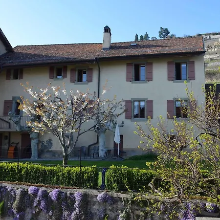 Domaine Du Burignon Saint-Saphorin