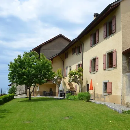 Domaine Du Burignon Pensión Saint-Saphorin