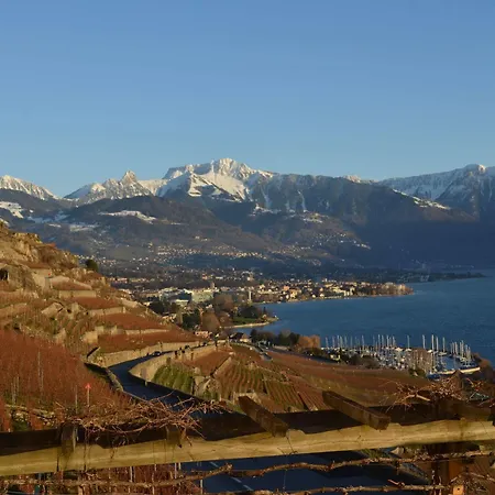 Domaine Du Burignon Saint-Saphorin