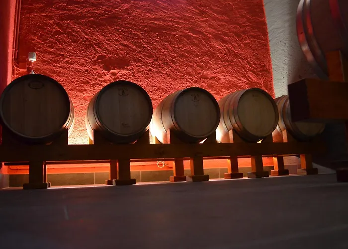 Domaine Du Burignon Pensjonat