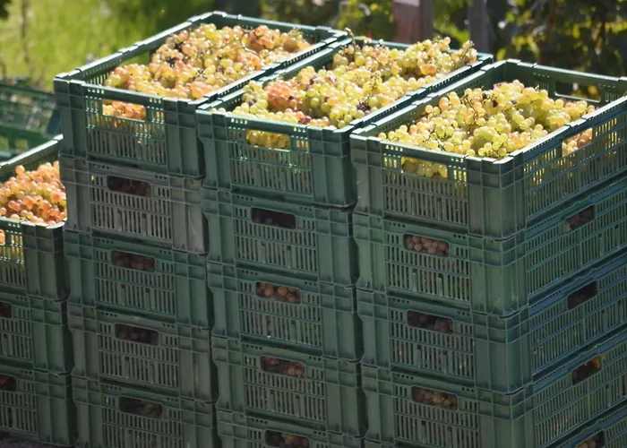 Pensjonat Domaine Du Burignon