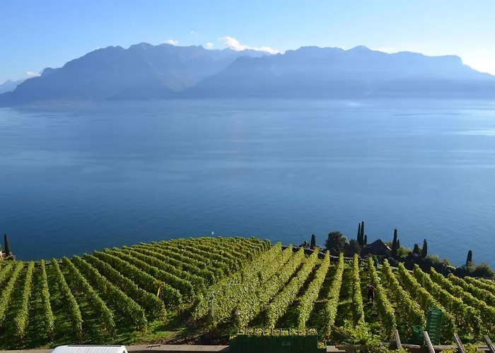 招待所 多梅因布里浓酒店 3*