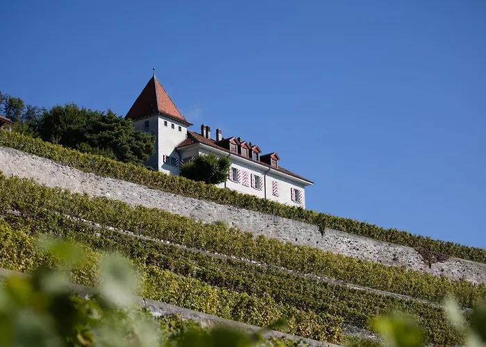 Domaine Du Burignon 3*