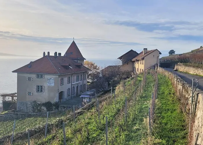 Domaine Du Burignon Saint-Saphorin