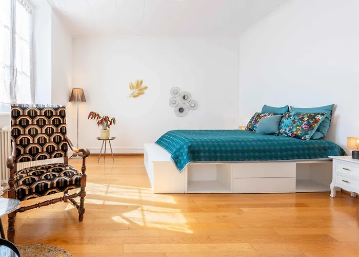 招待所 多梅因布里浓酒店