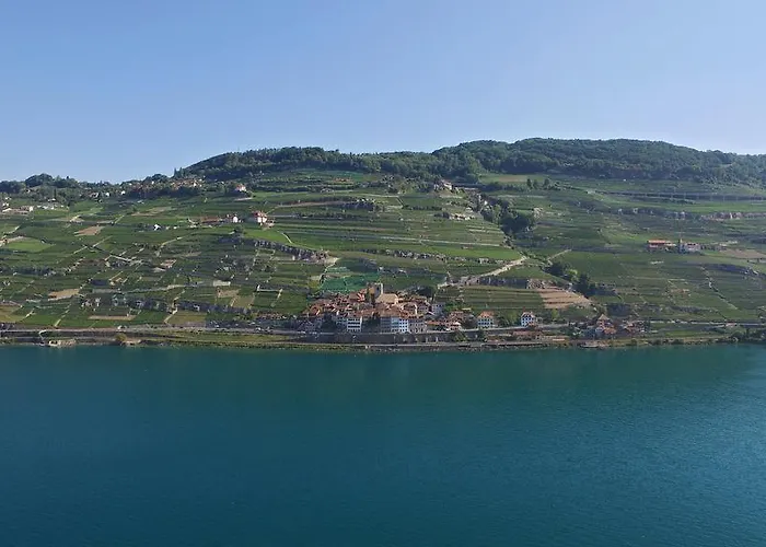 Pensionat Domaine Du Burignon Saint-Saphorin