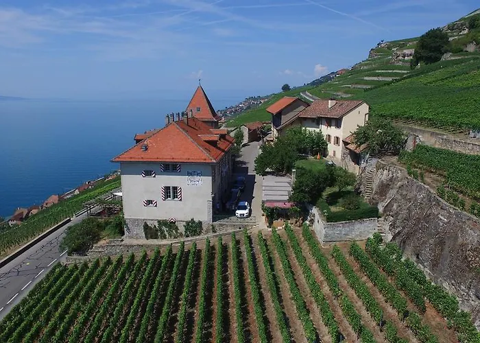 Domaine Du Burignon Saint-Saphorin