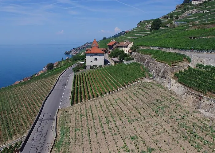 Domaine Du Burignon 3* Saint-Saphorin