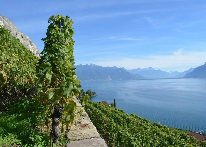 招待所 多梅因布里浓酒店 Saint-Saphorin