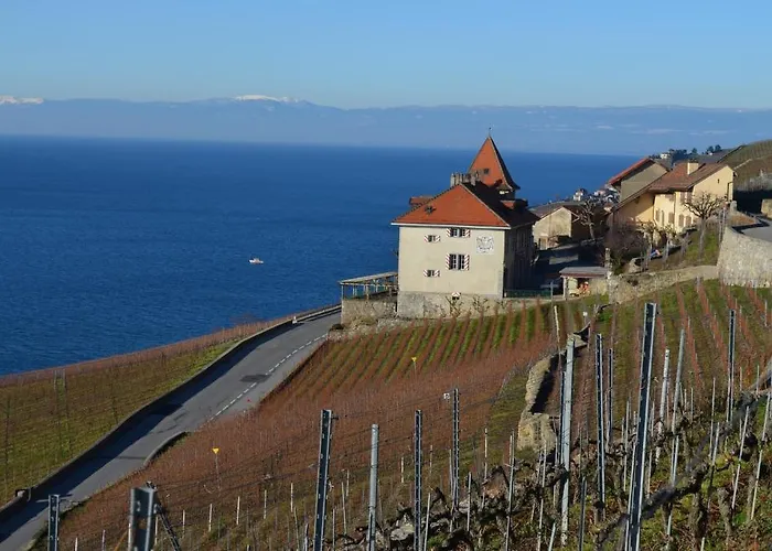 Domaine Du Burignon 3* Saint-Saphorin
