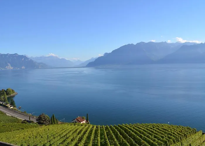 多梅因布里浓酒店 3* Saint-Saphorin