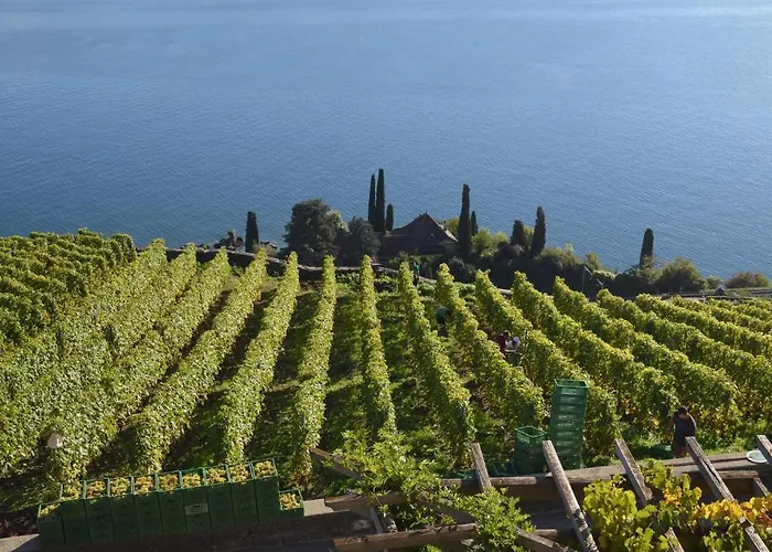 Domaine Du Burignon Pensionat