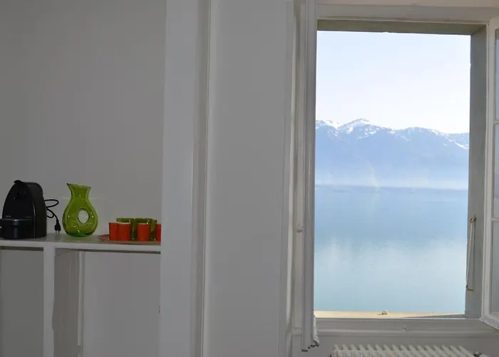 多梅因布里浓酒店 招待所