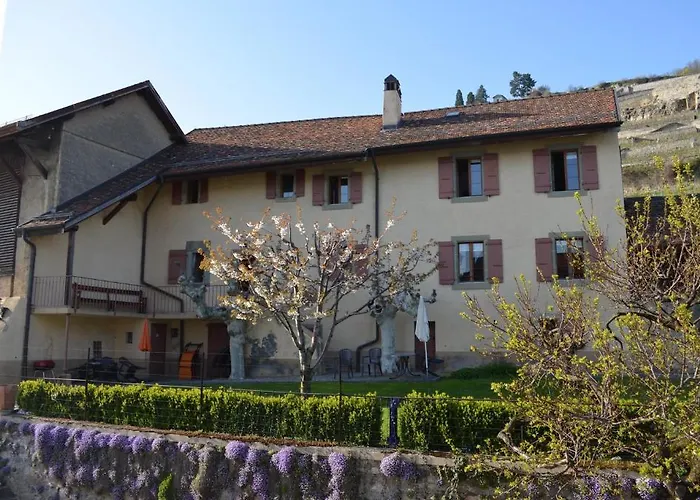 Pensionat Domaine Du Burignon Saint-Saphorin