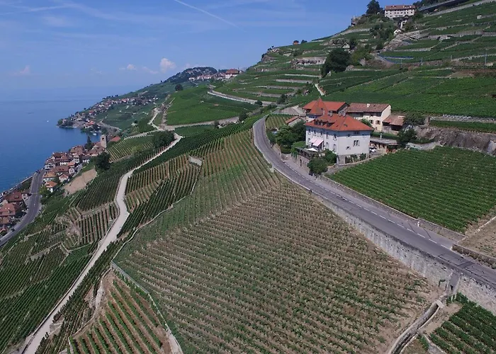 Domaine Du Burignon 3*