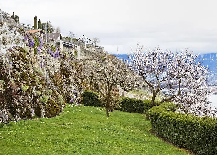 多梅因布里浓酒店 招待所 3*