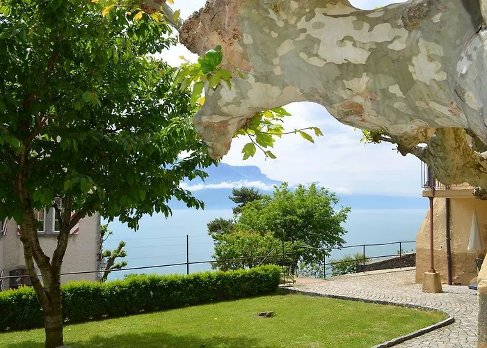 多梅因布里浓酒店 招待所 3*