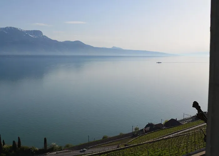 多梅因布里浓酒店 3*