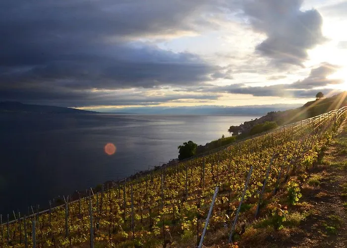 Pensionat Domaine Du Burignon Saint-Saphorin