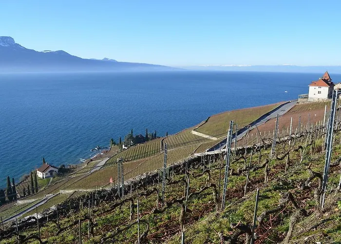 Domaine Du Burignon 3* Saint-Saphorin