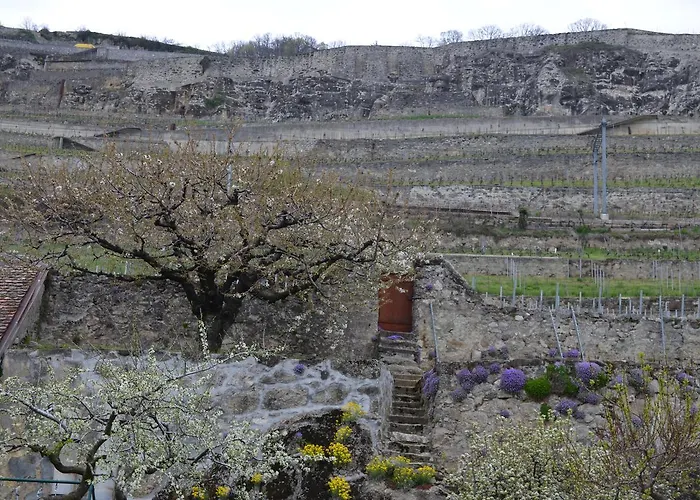 Domaine Du Burignon Pensionat 3*