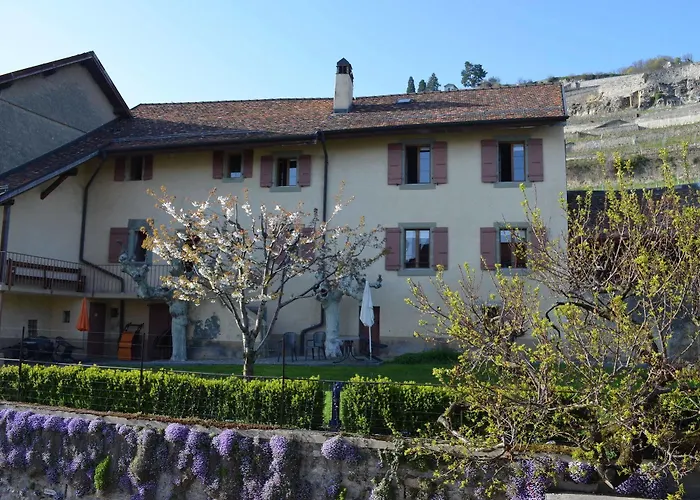 Domaine Du Burignon Saint-Saphorin