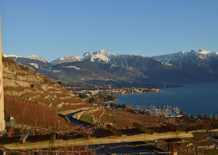 Domaine Du Burignon Saint-Saphorin