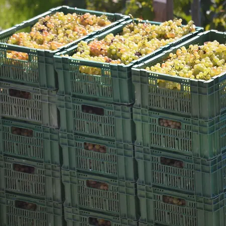 Pensjonat Domaine Du Burignon