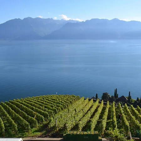 בית הארחה Domaine Du Burignon 3*