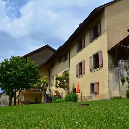 בית הארחה Domaine Du Burignon Saint-Saphorin