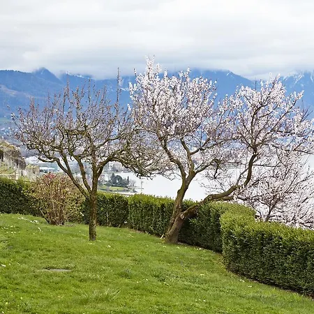 Domaine Du Burignon 3* Saint-Saphorin