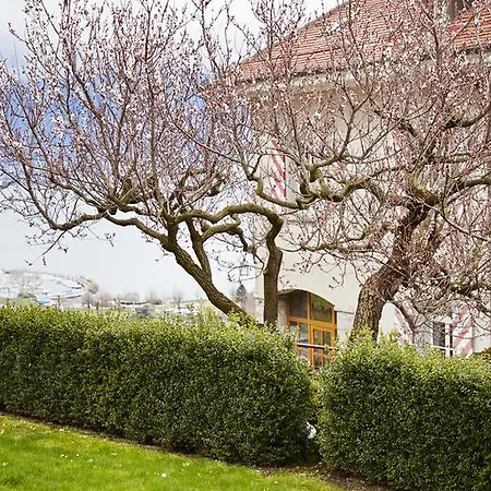 Pensjonat Domaine Du Burignon 3*