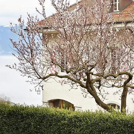 Domaine Du Burignon Pensjonat Saint-Saphorin