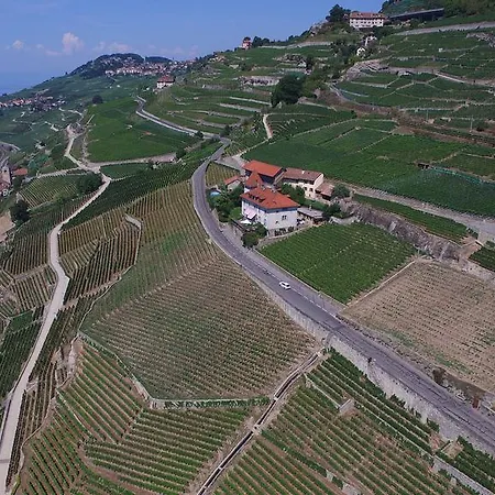 Domaine Du Burignon 3* Saint-Saphorin