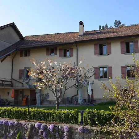 בית הארחה Domaine Du Burignon Saint-Saphorin