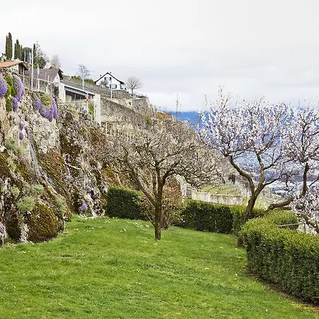 Domaine Du Burignon בית הארחה 3*