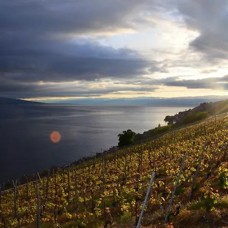 בית הארחה Domaine Du Burignon Saint-Saphorin